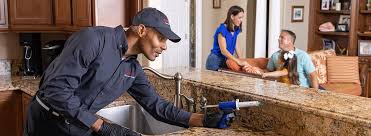 Professional Pest control in Beresford, SD